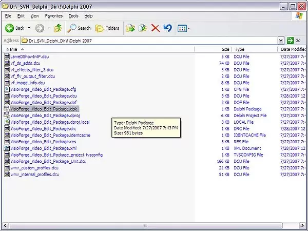 Screenshot showing package opening in Delphi 2005