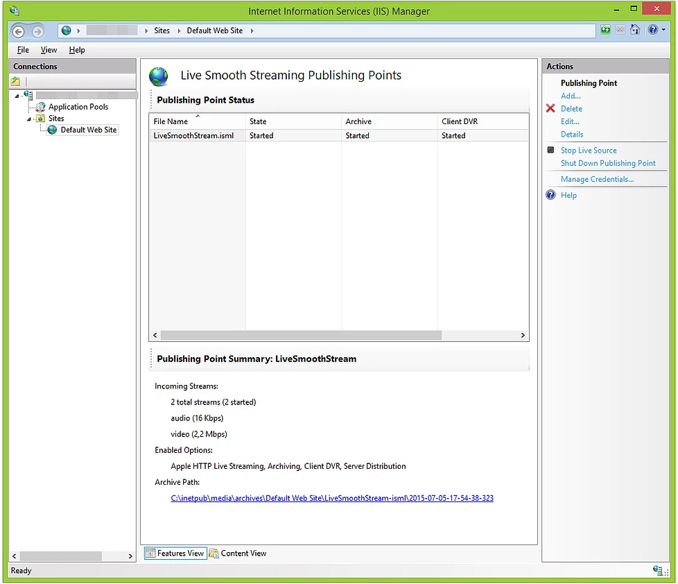 Successful IIS connection